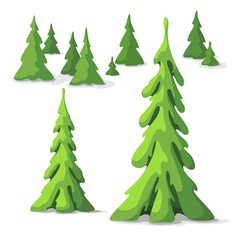 Pine tree set. Trees of different size. Graphic elements for landscape design in a cartoon style.