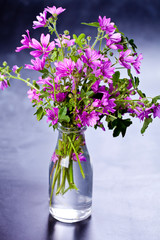 Wild violet flowers in glass bottle on black background.
