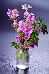 Wild violet flowers in glass bottle on wet black background.