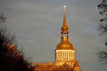 Die St.-Marien-Kirche in Stralsund in der Abendsonne