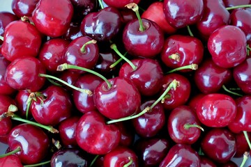 red and black sweet cherries close up