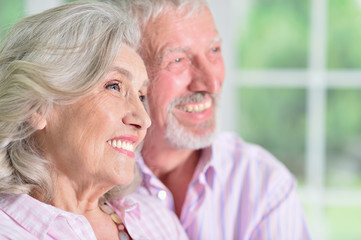 Portrait of cute happy senior couple at home