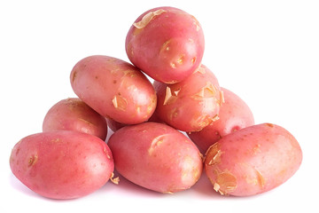 Fresh harvest of red potatoes
