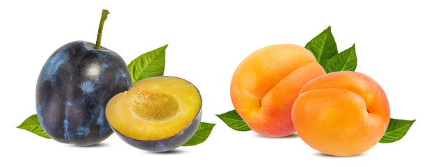 Collage of fresh fruits isolated on white background with clipping path
