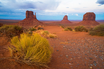 tumble weed in monument valley 