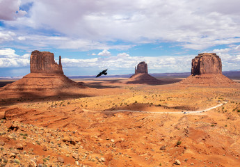 crow flying in monument valley 