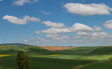 Beautiful agricultural landscape on the Way of St. James, Camino de Santiago between Ciruena and Santo Domingo de la Calzada in La Rioja, Spain