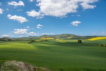 Beautiful agricultural landscape on the Way of St. James, Camino de Santiago between Ciruena and Santo Domingo de la Calzada in La Rioja, Spain