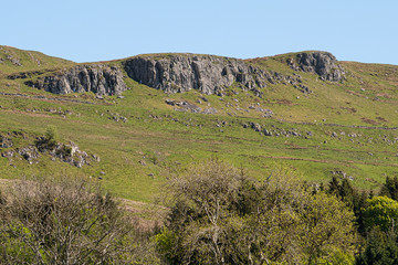 Fototapeta na wymiar Cauld Rocks Hillside and Scotland's Ayrshire Farmlands with Young Lambs, Treelined hedges and a Blue Sky Behind Largs