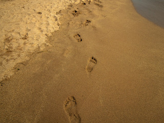 Fototapeta na wymiar Footprints in the sand on the beach after a beach walk