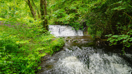 This image of the Glencar stream was taken downstream from the spectacular Glencar Waterfall, Co. Leitrim. 