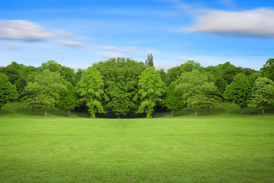 Meadow,trees, and blue sky.