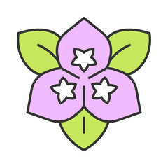 Obraz premium Bougainvillea flower color icon