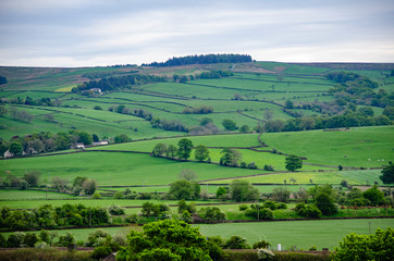 Fototapeta na wymiar English landscape with green field and blue sky
