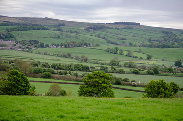 Obraz premium Angielski krajobraz z zielonym polem i niebieskim niebem