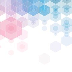 pink blue hexagons. template for business presentation. eps 10