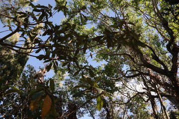 Jardín