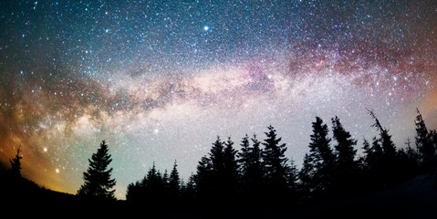 Milky Way over the Fir-trees