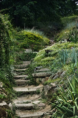 A mystery half-ruined stone steps in forest thicket.