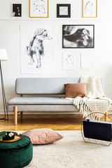 Posters above grey sofa in white living room interior with pillow and pouf on carpet. Real photo