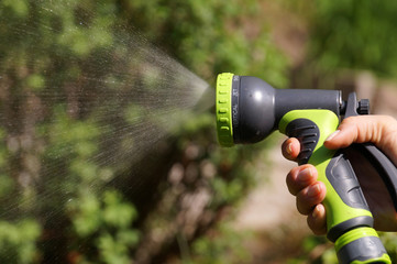 A sunlit stream of water. Watering garden crops with a watering gun.