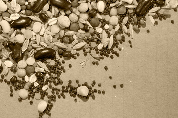 Black and white image of seeds and pulses