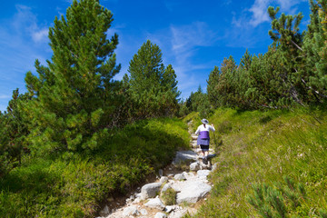 Woman - hiker. Climbing on Mountain Krivan