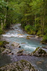 Obraz premium Fast mountain river and green forest