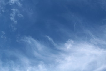 Cirrus clouds in the blue sky.