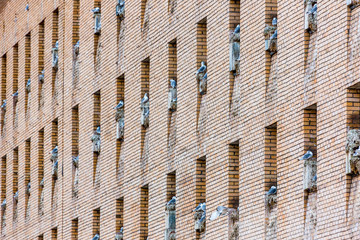 The sudden abandoned russian mining town Pyramiden, seagulls using windows for breeding, Isfjorden,...