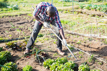 Gardener tilling soil at homestead