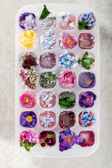 Fototapeta na wymiar Tray with Frozen Flowers in Ice Cubes on grey Background, top view, close up image