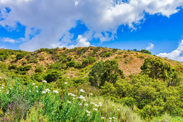 Fototapeta na wymiar spring mountains in foothills of california