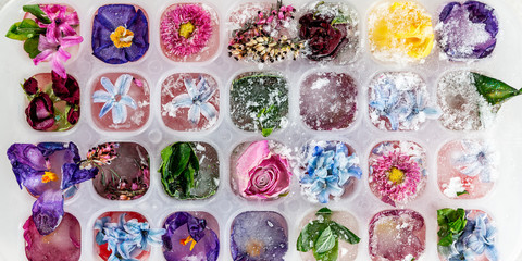 Tray with Frozen Flowers in Ice Cubes on grey Background, top view, close up image