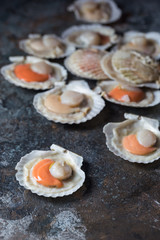 Shellfish, raw fresh scallops on black stone slate background. Seafood concepts.