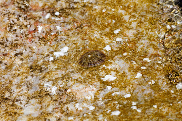 Amazing clean beach water abstract background fine art in high quality prints products