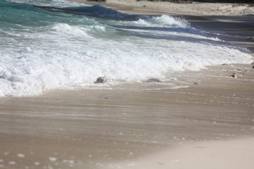 private beach tropical island