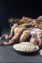 Assortment of seafood with raw fresh octopus, scallops and prawns, as an gourmet dinner background