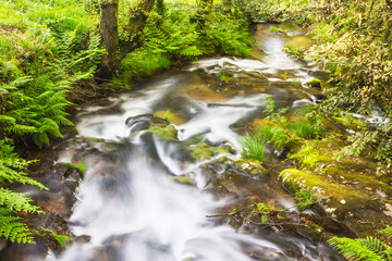 Water flowing in the river rapids