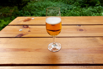 Beer glass on the table forest in the background