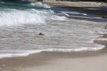 private beach tropical island