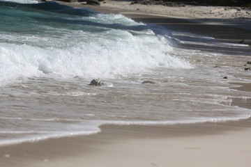 private beach tropical island