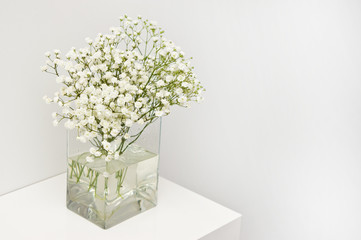 White flowers on glass vase home decoration.