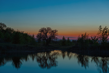 Landscape with a tree on the lake after sunset.