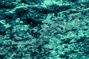 Vintage azure background. Rough painted wall of turquoise color. Imperfect plane of cyan colored. Uneven old decorative toned backdrop of aqzure tint. Texture of teal hue. Ornamental stony surface.