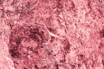 Vintage pink background. Rough painted wall of fiesta color. Imperfect plane of rosy colored. Uneven old decorative toned backdrop of rouge tint. Texture of pink hue. Ornamental stony surface.