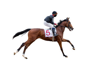 horse racing jockey isolated on white background