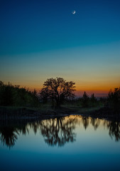 Night sky with the moon after sunset. Landscape with a tree by the lake.