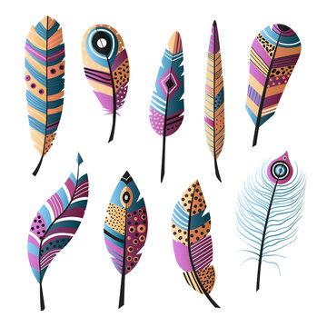 Set of ethnic colorful bird feather, modern color