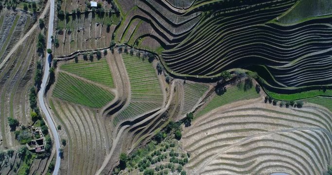 Aerial revealing view of the terraced vineyards in the Douro Valley near the village of Pinhao, Portugal; Concept for travel in Portugal and most beautiful places in Portugal